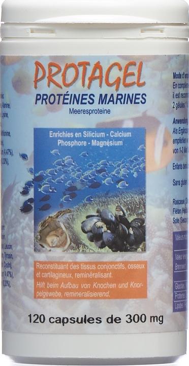 Actual product image Bioligo Protagel Complex acides aminés Caps (120 Piece, Capsules, 81 g)