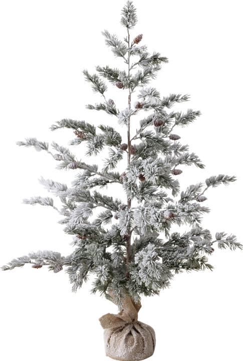 Actual product image Boltze Home Kiefer (120 cm)