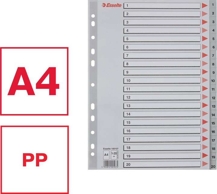 Actual product image Esselte Plastic register