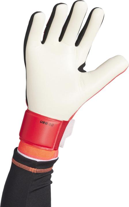 Actual product image adidas Predator GL LGE Torwarthandschuhe (7.5)