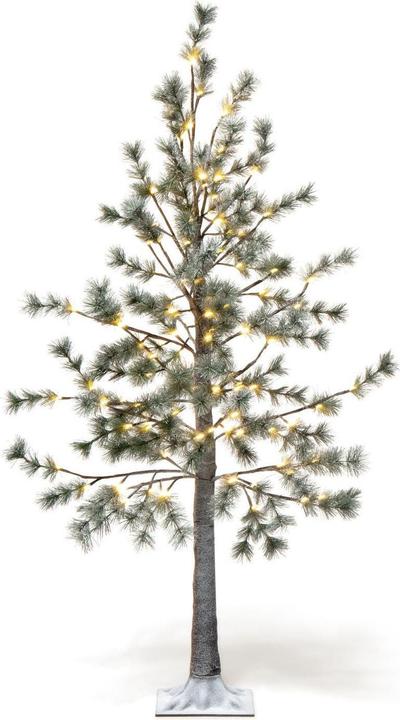 Image du produit STT Pine needle tree 150