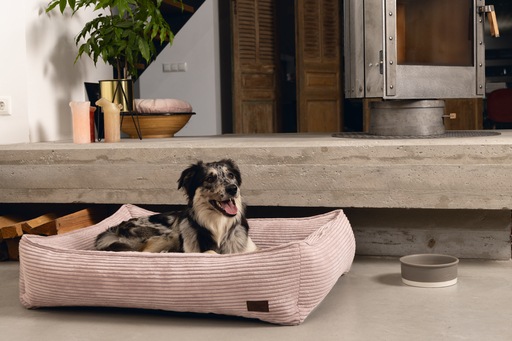 Immagine prodotto Designed by Lotte Divano letto a coste (Cane)