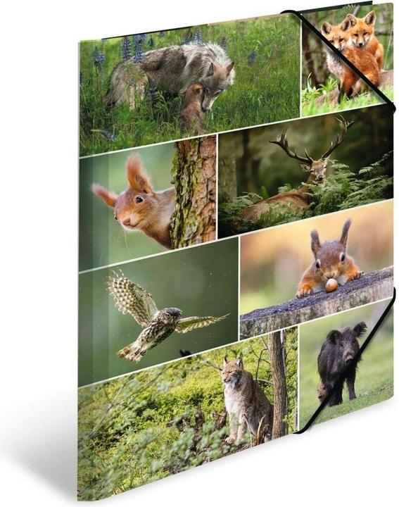 Produktbild HERMA Sammelmappe A3 Motiv (A3, 1x)