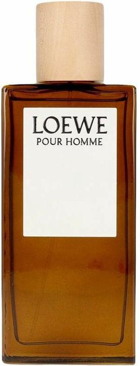 Perfumes Loewe Pour Homme (Eau de Toilette, 100 ml)