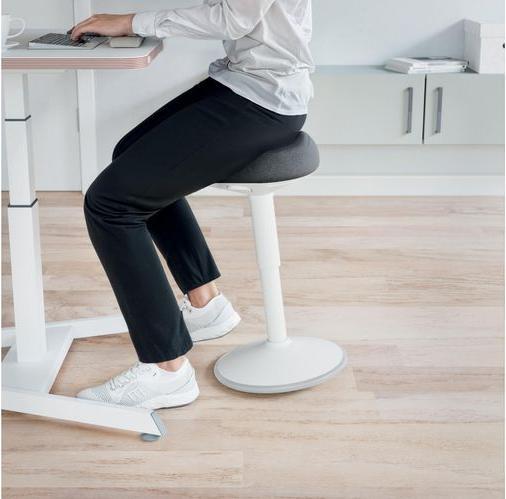 Actual product image Leitz Ergo Active