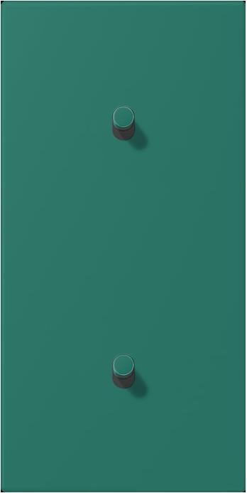 Actual product image JUNG Cover with toggle lever