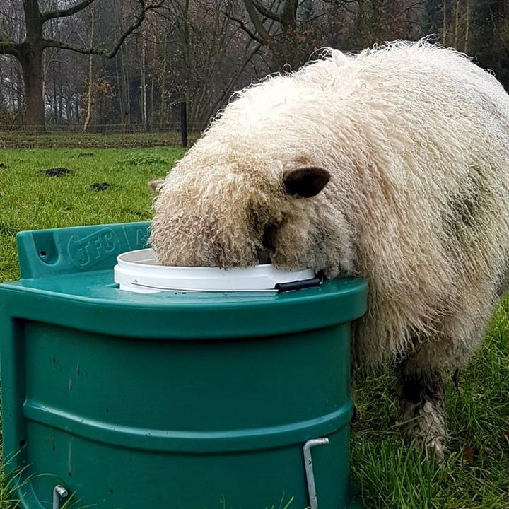 Actual product image JFC Thermal bucket thermal drinker