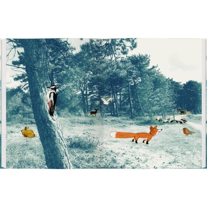 Thumbnail - Der kleine Fuchs, Kinderbücher von Edward van de Vendel