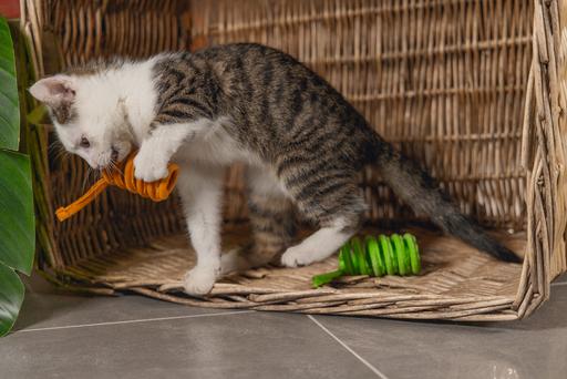 Actual product image Beeztees Springfeder Lilo (Plush toy cat)