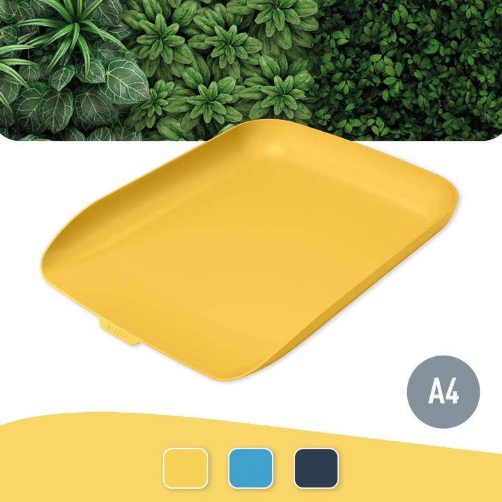 Produktbild Leitz Cosy (Hoch)