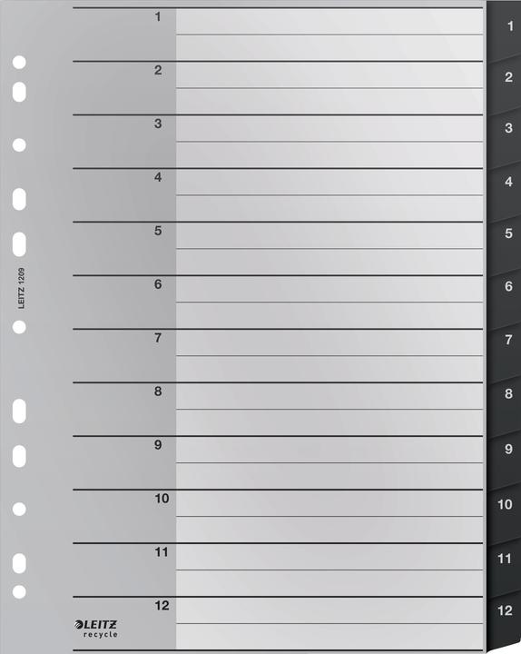 Produktbild Leitz RECYCLE - Register PP