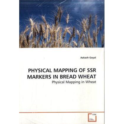 Physical Mapping Of Ssr Markers In Bread Wheat, Fachbücher von Aakash Goyal