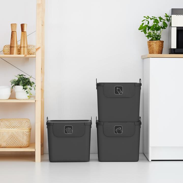 Image du produit Rotho Set de 3 poubelles de recyclage 30 L JIVE (90 l)