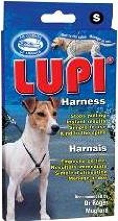 Actual product image Company of Animals Coachi Multi-Clicker (Dummy training, Upbringing)