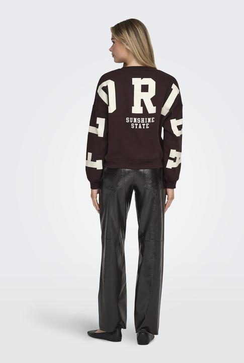 Produktbild Only Onlsweat L/S Back/Sleeve Print Swt Noos (M)