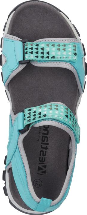 Actual product image Westland 25801-TE508 (41)