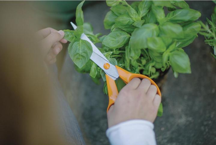 Image du produit Fiskars CREA 1075033 (21 cm)