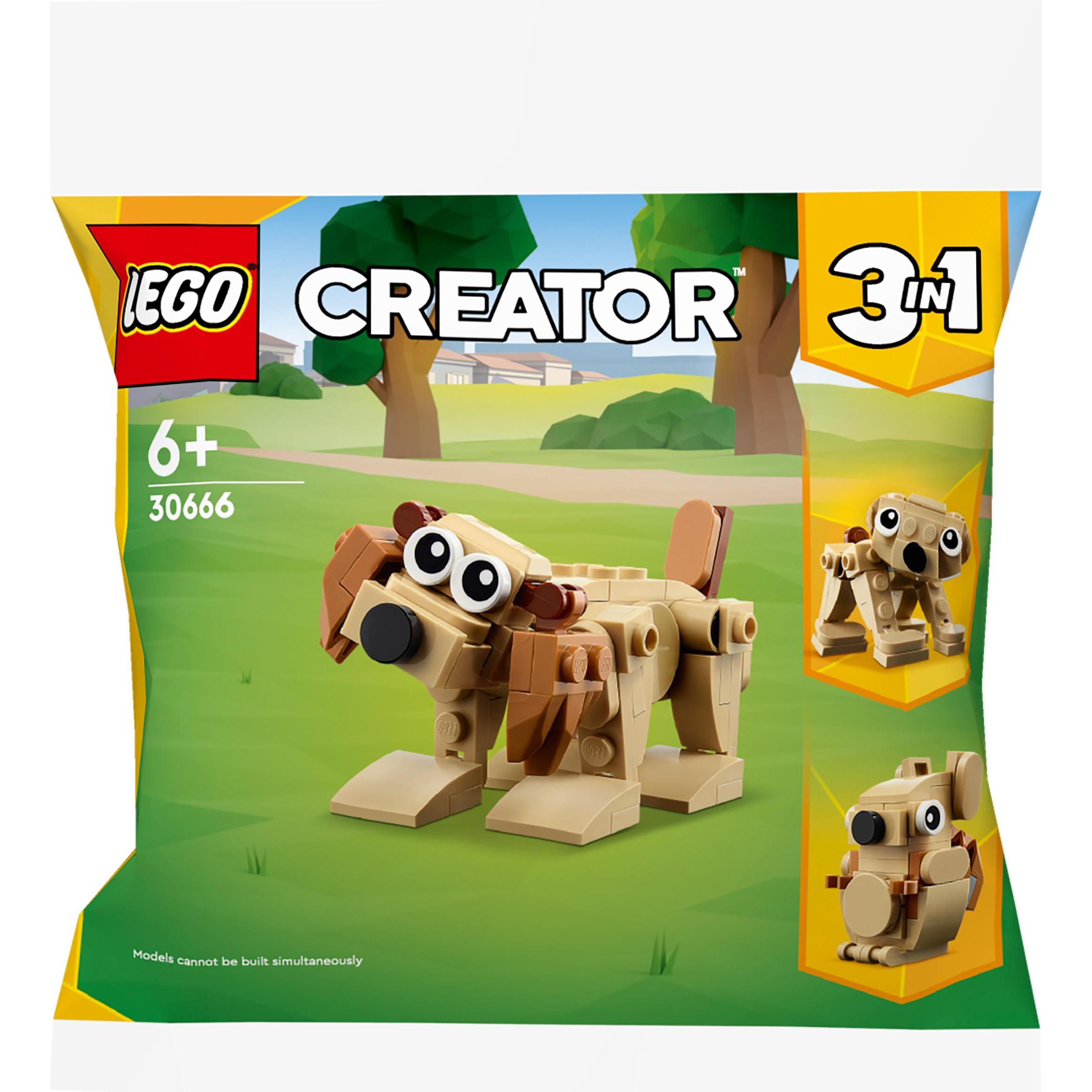 LEGO Geschenkset mit Tieren (30666, LEGO Creator 3-in-1)