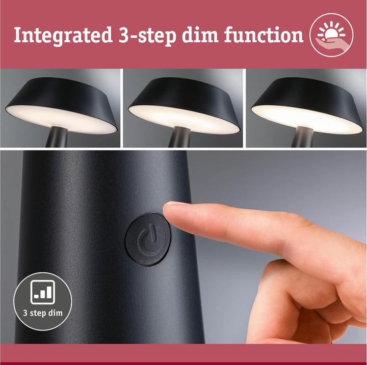 Actual product image Paulmann Solar table lamp Soala (320 lm)