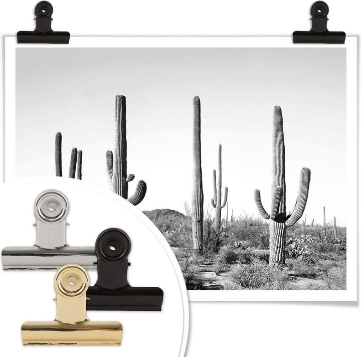 Image du produit Trenddeko Cactus dans le désert (50 x 40 cm)