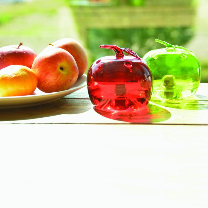 Actual product image Esschert Design Fruit fly trap