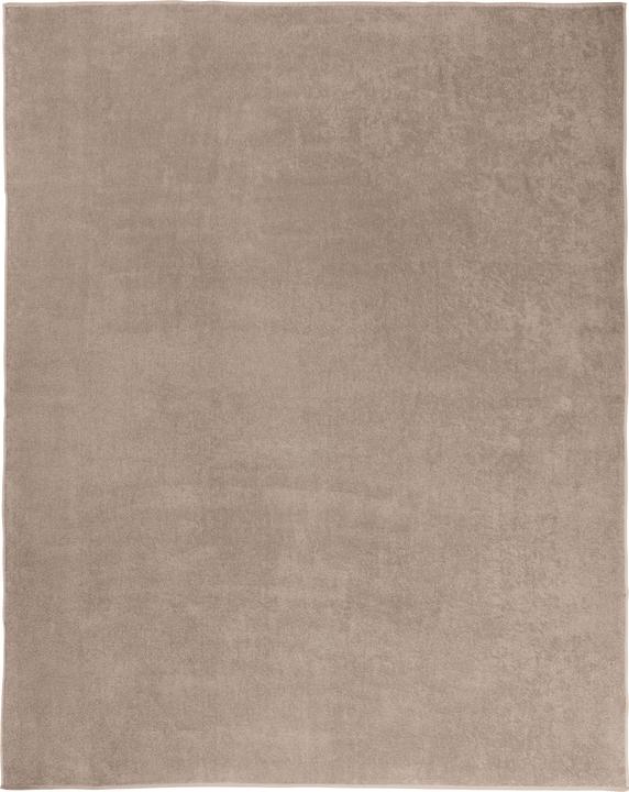 Image du produit Erwin Müller Couverture en éponge