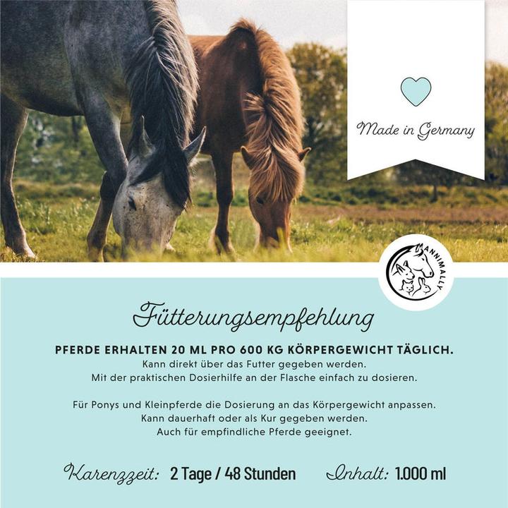 Produktbild Annimally Bronchial Liquid (1 Stk., 1000 g)