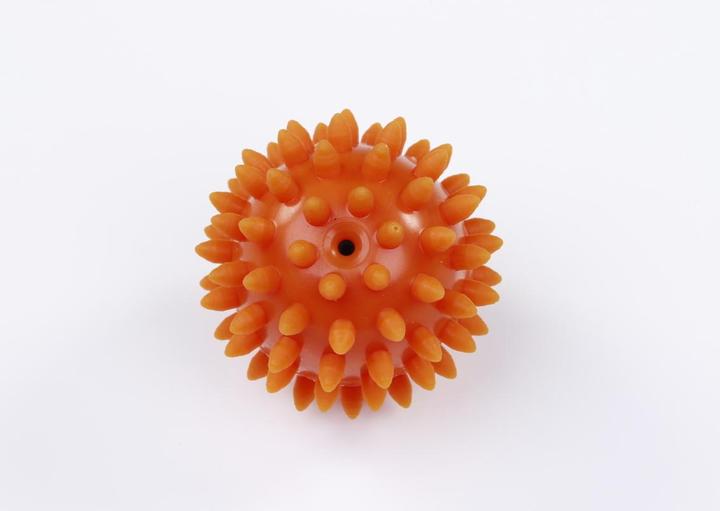 Actual product image Togu ® Igelball