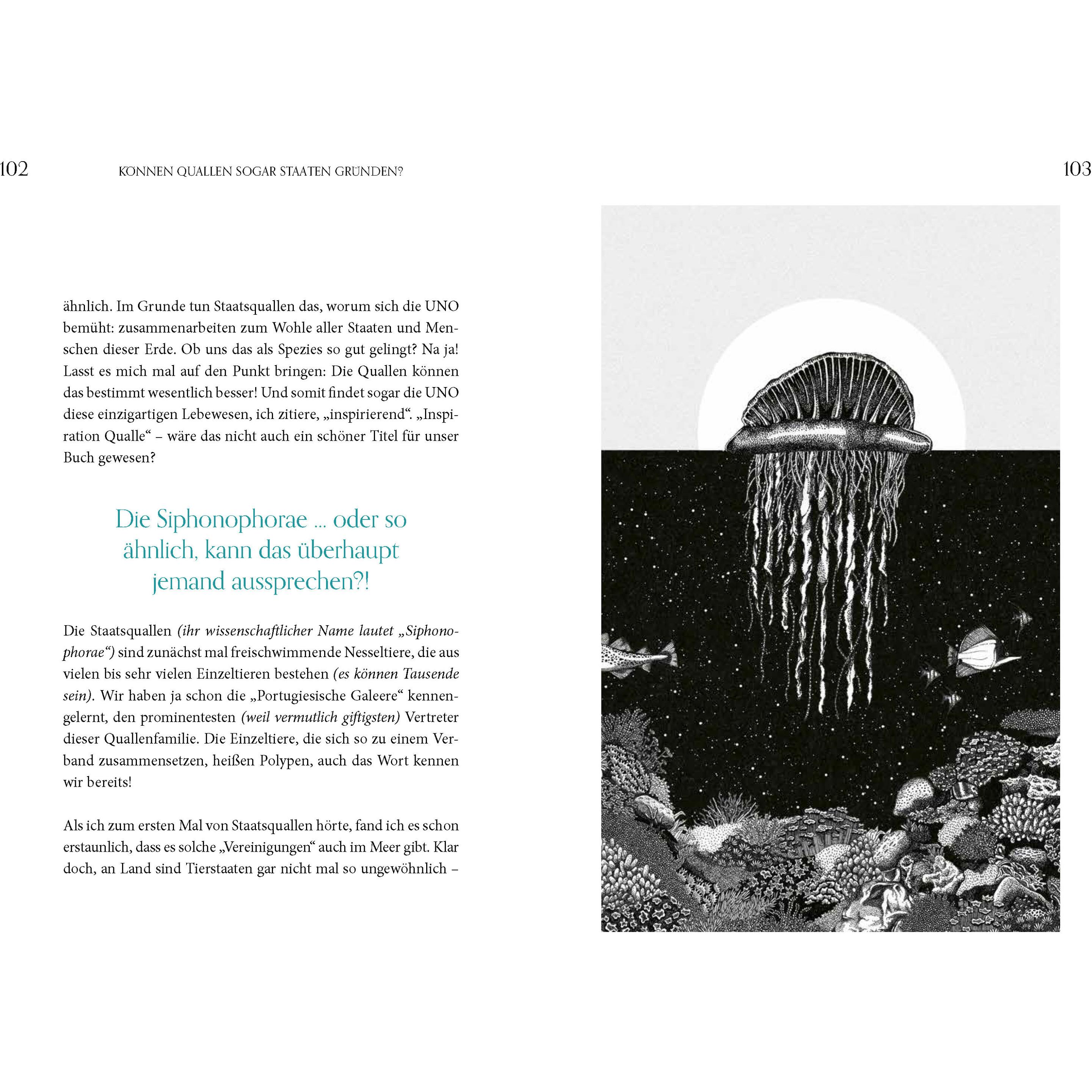 Thumbnail - Faszination Qualle - Geheimnisvolle Schönheiten, Kinderbücher von Michael Stavaric, Michèle Ganser