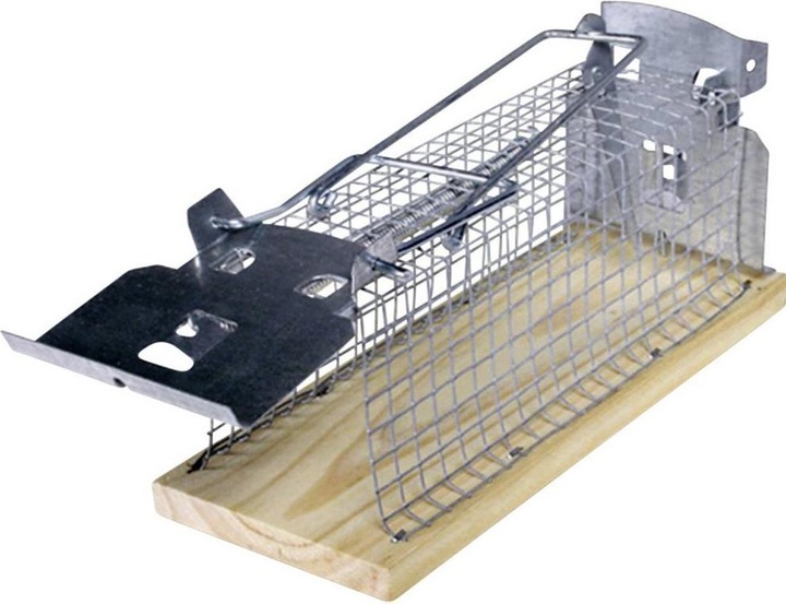 Actual product image Swissinno Living Trap Mouse Classic 1 pc