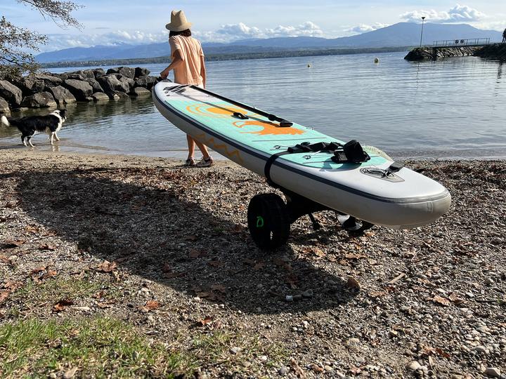 Actual product image 9WS Chariot de transport pour kayak et paddle
