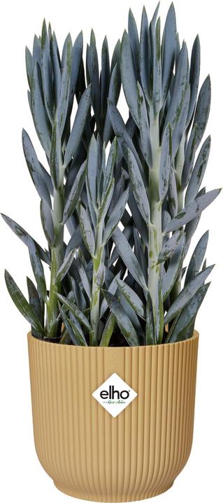 Produktbild Elho Vibes Fold (14 cm)