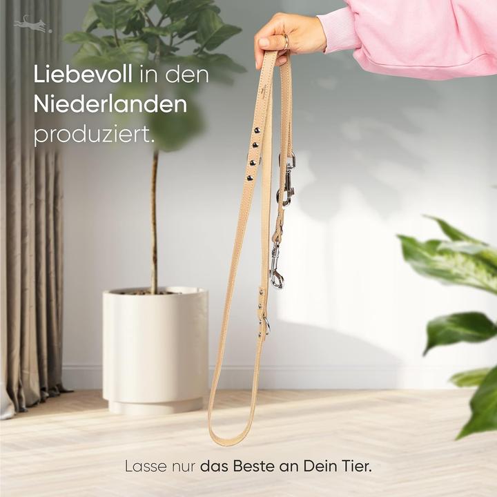 Immagine prodotto Freudentier Amstelpark Kollektion - Hundeleine, 3-fach verstellbar, 2m (Cane)