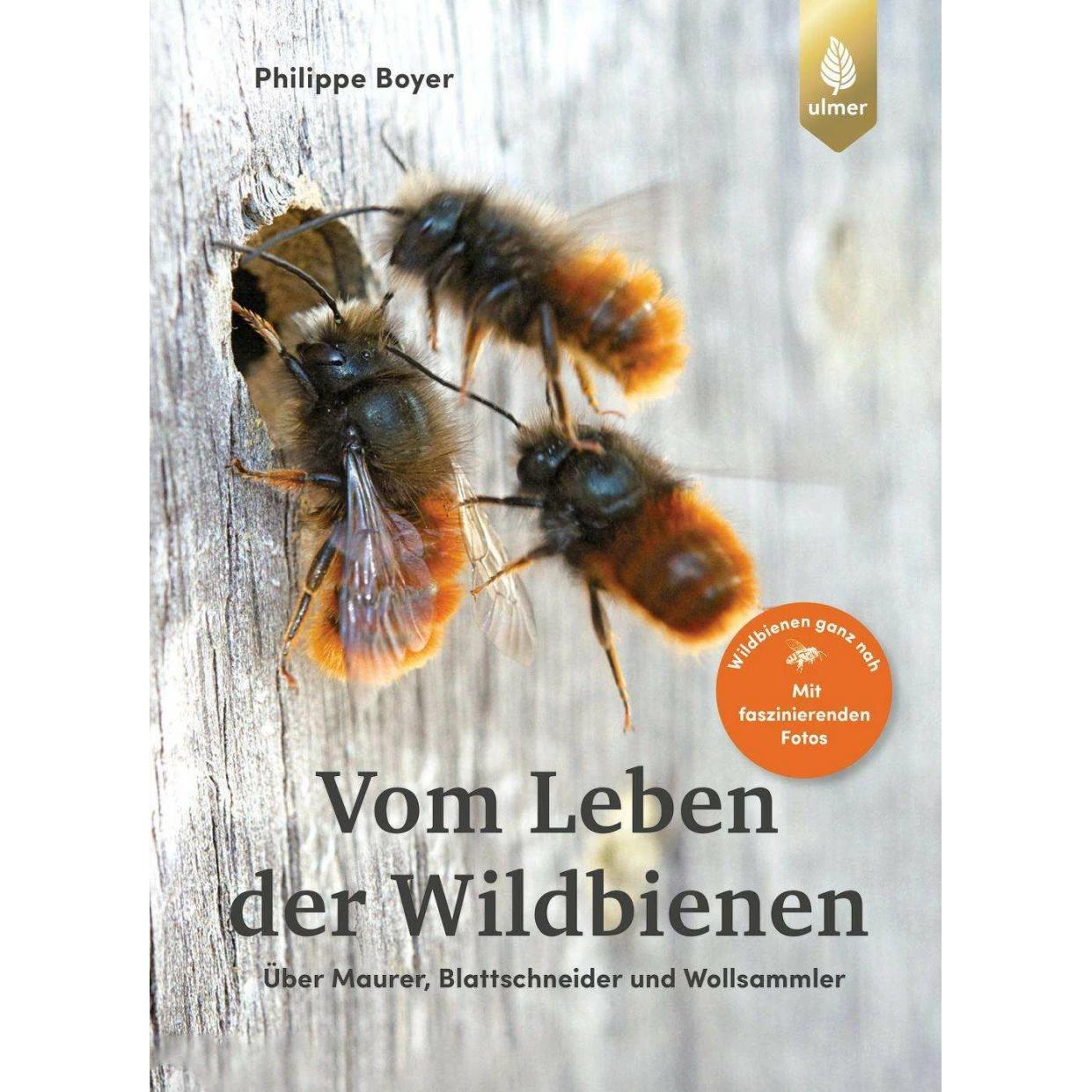Thumbnail - Vom Leben der Wildbienen, Ratgeber von Philippe Boyer