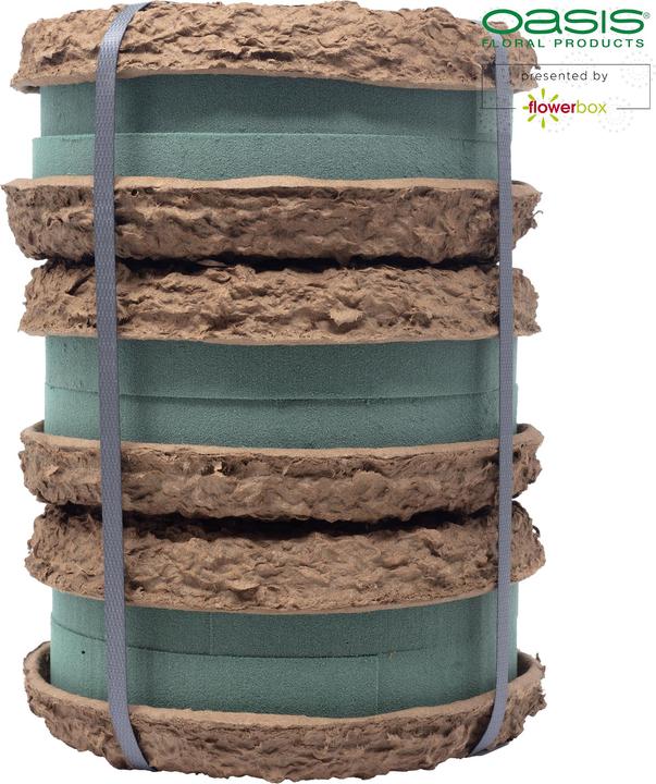 Actual product image Oasis BIOLIT Ring