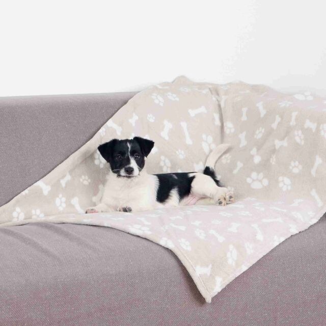 Actual product image Trixie Kenny blanket (Dog)