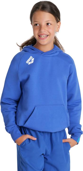 Actual product image Arena Jr Team Hooded Sweat Panel (116)