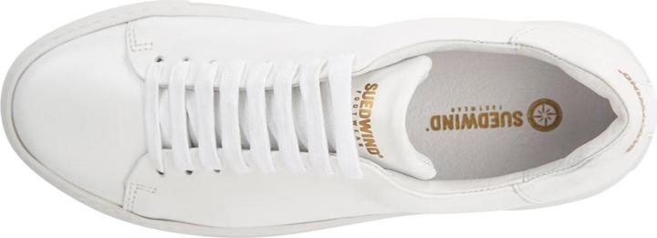 Immagine prodotto Suedwind Footwear Ashton (43)