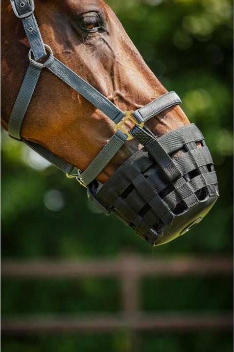 Produktbild Horse Guard Pferdeweide Maulkorb mit Halfter