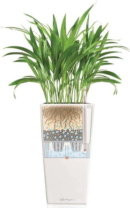 Produktbild Lechuza Cubico Color (29.50 cm)