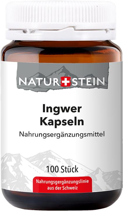 Immagine prodotto Naturstein Ingwer (100 Pezzo/i, Pillole, 147 g)