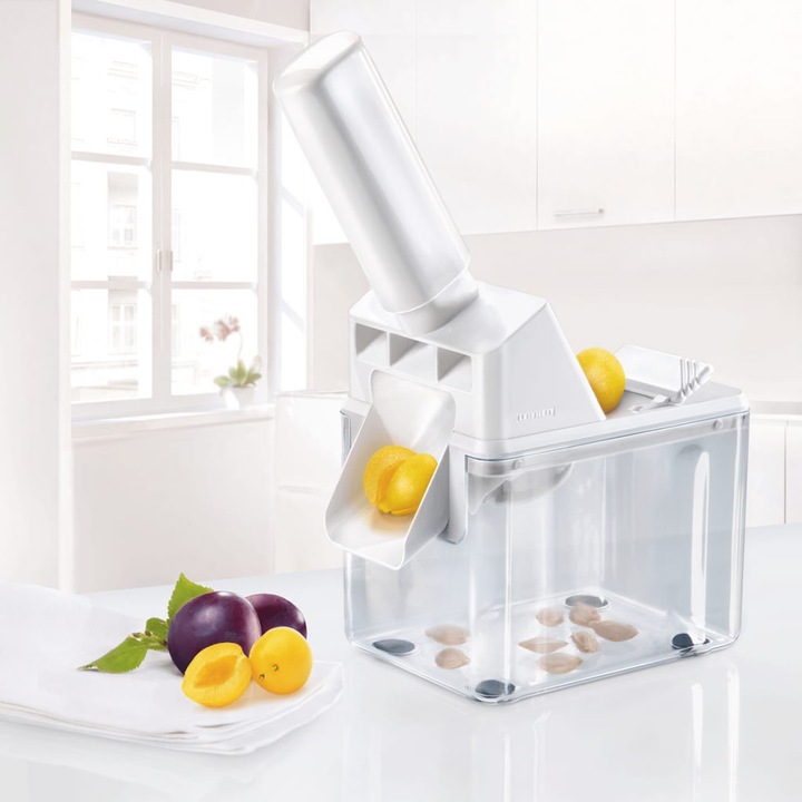 Actual product image Leifheit Plum pit