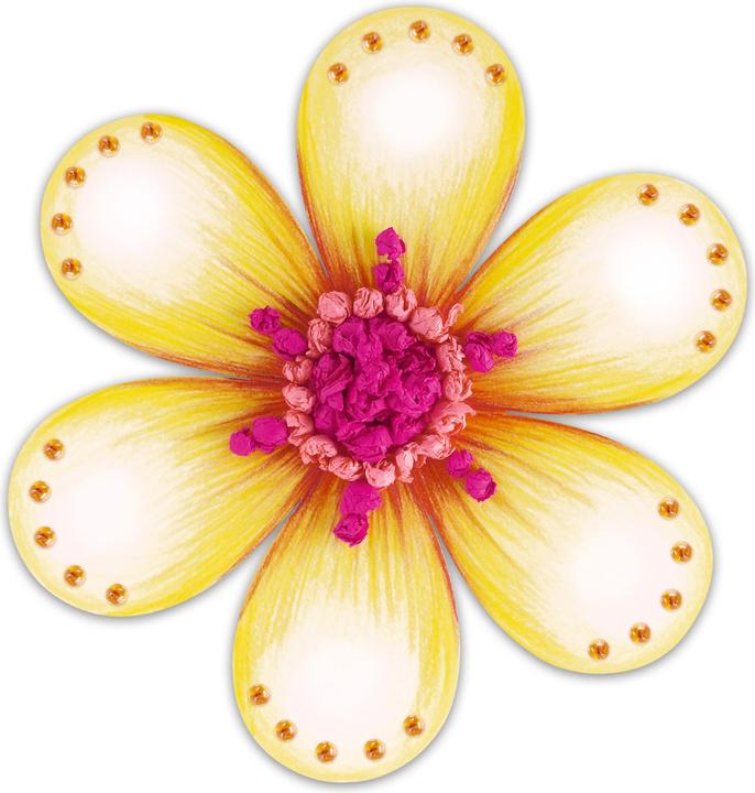 Produktbild Ursus Blanko Fotokarton-Motive (230 g/m², 20x)