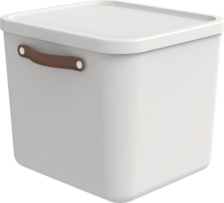 Rotho Maloja (39.5 x 38 x 34 cm, 40 l)
