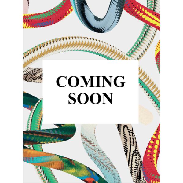 Thumbnail - Harry Benson. The Beatles, Sachbücher von Harry Benson