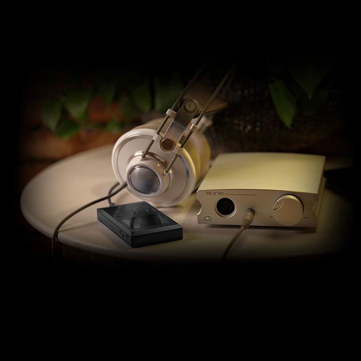 Immagine prodotto Aune X7s (interruttore di guadagno)