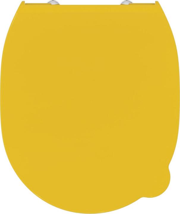 Actual product image Ideal Standard Contour 21 Children WC seat Schools S4536