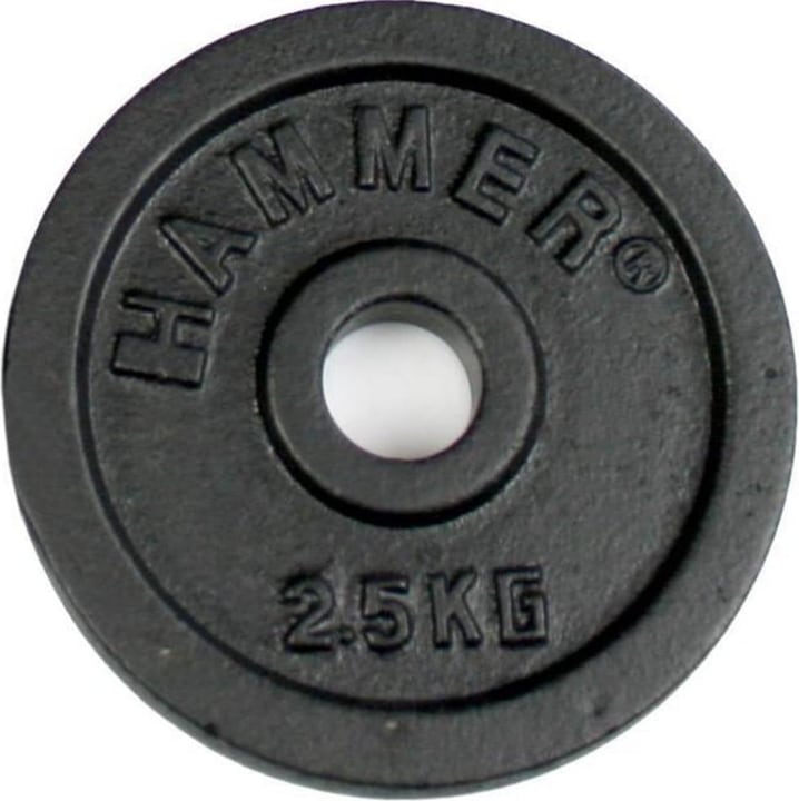 Hammer Fitness Disques de poids 1 x 2,5 kg (1 x 2,5 kg)