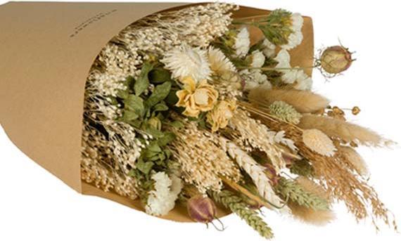 Floramall Daisy (Dried flowers)