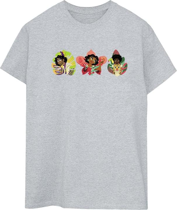 Actual product image Disney Womens/Ladies Encanto Family Line Cotton Boyfriend T-Shirt (XL)